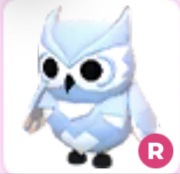 Snow Owl R - Adopt Me Roblox