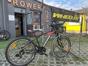 Rower Kross Level mini 24 cale