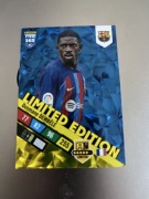 Adrenalin panini 365 2023r