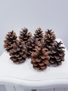 Szyszki dekoracyjne 