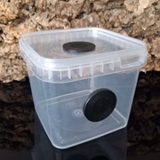 Pojemnik hodowlany 12x12x11 wentylacja 3D terrarium pająk ptasznik skorpion