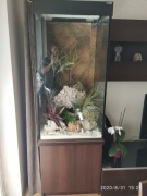 Akwarium 450l z szafką i widocznymi koralowcami!!