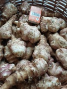 ZESTAW słonecznik dla ptaków 2kg topinambur5kg chipsy100g  