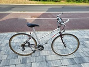 Rower firmy author 26"