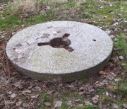 Sprzedam żarno z podstawy starego wiatraka