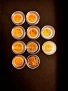 Zestaw 10x 5 zl NBP - monety kolekcjonerskie - Zamek, Ratusz, Ksiezy Mlyn