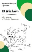 10 tricków, które sprawią, że pies Cię zauważy