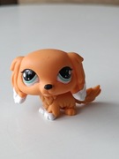 Littlest Pet Shop LPS  