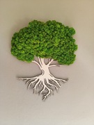 Drzewko z mchu Drzewo mech chrobotek Prezent Obraz