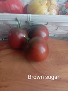 Pomidor Brown sugar  kolekcjonerski