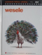 Wesele - Omówienie lektury szkolnej + film