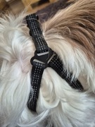 Regulowane Czarne Szelki dla Psa bez Smyczy