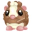 Chocolate Dutch Guinea Pig Adopt Me AM