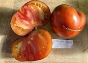 Pomidor Chupa Chups kolekcjonerskie nasiona