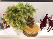 Drzewko Bonsai 50cm x 50 cm - Sztuczne z naturalnym pniem i podstawą