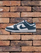 Nike dunk low 43
