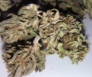 Legalny susz CBG 9.16% NATURALNY! 1g