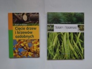 Cięcie drzew i krzewów ozdobnych+ Trawy i trawniki