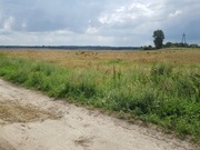 Działka Rozajny - 6394 m² gm. Gardeja - Pomorskie