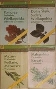 Mapa krajoznawcza Dolny Śląsk, Pomorze, Mazury, Małopolska, Karpaty x4