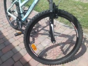 Rower CROSS  EVIVA- S1 