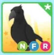 nfr crow gra adopt me