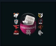 CS:GO pojemniki RMR2020 Kandydaci 850sztuk