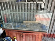 SPRZEDAM !!! cena do uzgodnienia Akwarium 250L