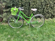 Rower Antymateria, 28", Rama Lady M. 