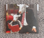 MOBY Everything Was Beautiful And Nothing Hurt CD