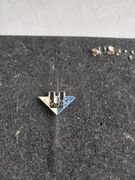 Unia Leszno oficjalna