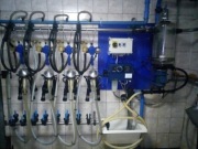 Dojarka do dojenia  krów  przewodowa De-Laval  