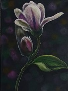 Magnolia 30x40 Akryl na płótnie 