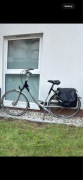 Rower Giant Damski