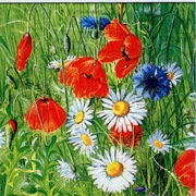 serwetka decoupage maki