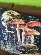 Poszewka na poduszkę z grzybami