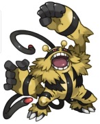 Karty Pokemon #466 Electivire kolekcja