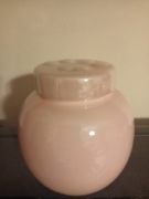 Urna na prochy dla małego psa lub kota 