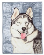 Koc elway pies husky