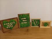 Obraz z mchu reniferowego różne wzory