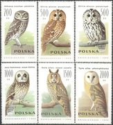 Fauna ptaki sowy 3146 - 3151 ** 