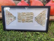 Dekoracja ścienna w stylu morskim