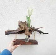 Oryginalna dekoracja z korzenia 