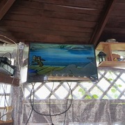 Kaseta VHS cartoonnetwork tom i jerry i inne