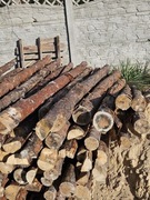 Stemple drewniane budowlane