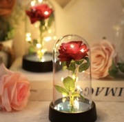 Wieczna Róża zamknięta w szkle z blaskiem LED