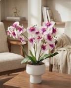 Storczyk sztuczny 50 cm