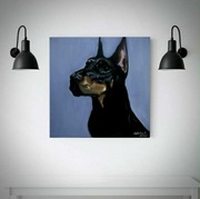 Dumny Doberman na szarym tle