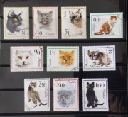 !!! POLSKA 1964 KOTY DOMOWE 10szt... KOMPLETNA SERIA...KASOWANE*!!!
