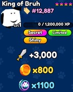 Shiny King of Bruh | Pet Catchers